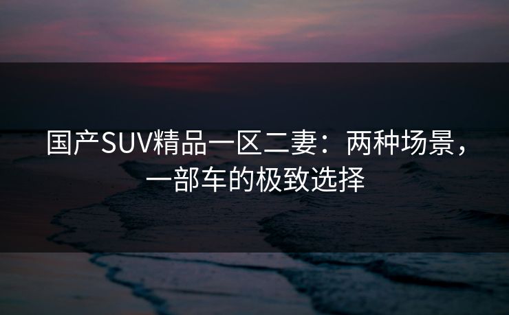 国产SUV精品一区二妻：两种场景，一部车的极致选择