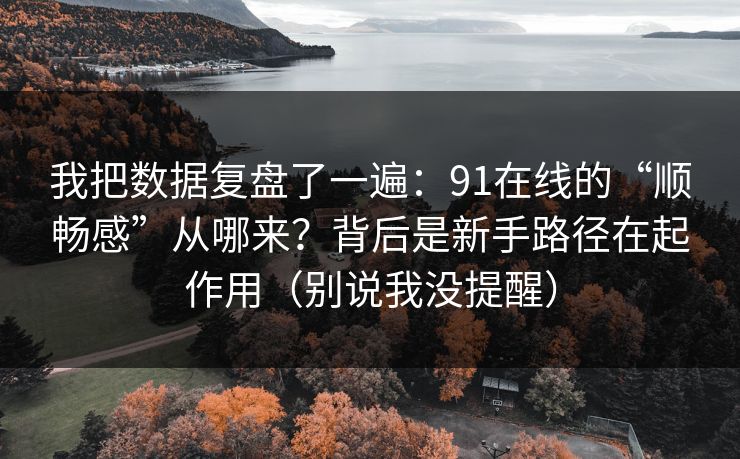 我把数据复盘了一遍：91在线的“顺畅感”从哪来？背后是新手路径在起作用（别说我没提醒）