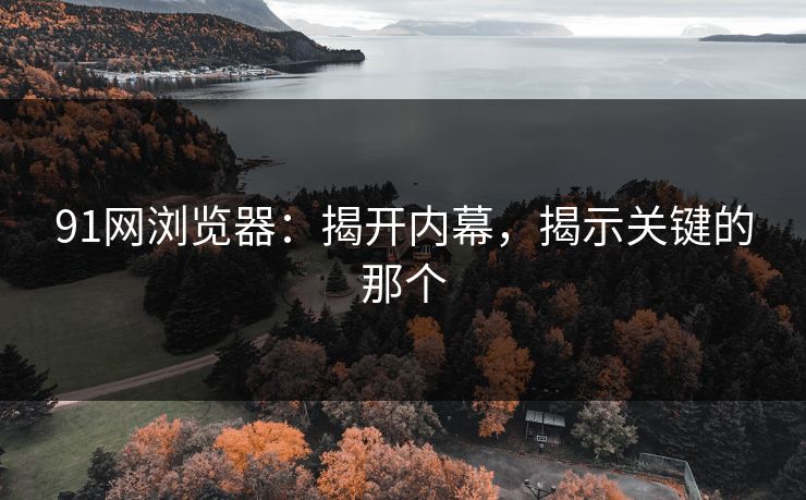 91网浏览器：揭开内幕，揭示关键的那个