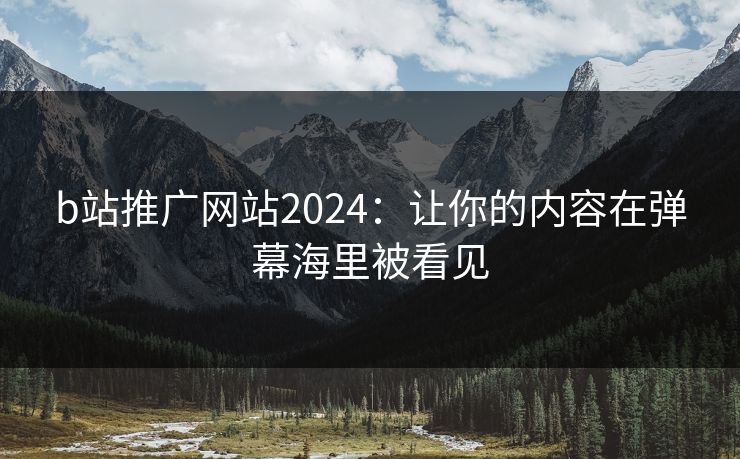 b站推广网站2024：让你的内容在弹幕海里被看见